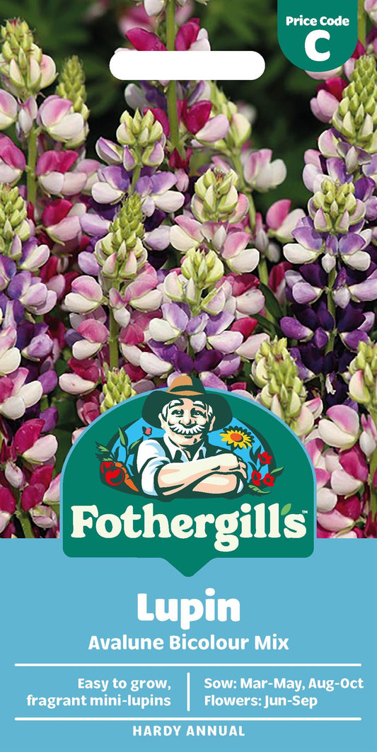 Fothergills Lupin Avalune Bicolour Mix Seeds