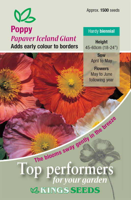 Kings Seeds Poppy Iceland Giant 1500 Seed