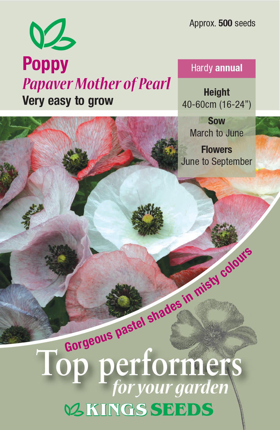 Kings Seeds Poppy Mother of Pearl 500 Seed