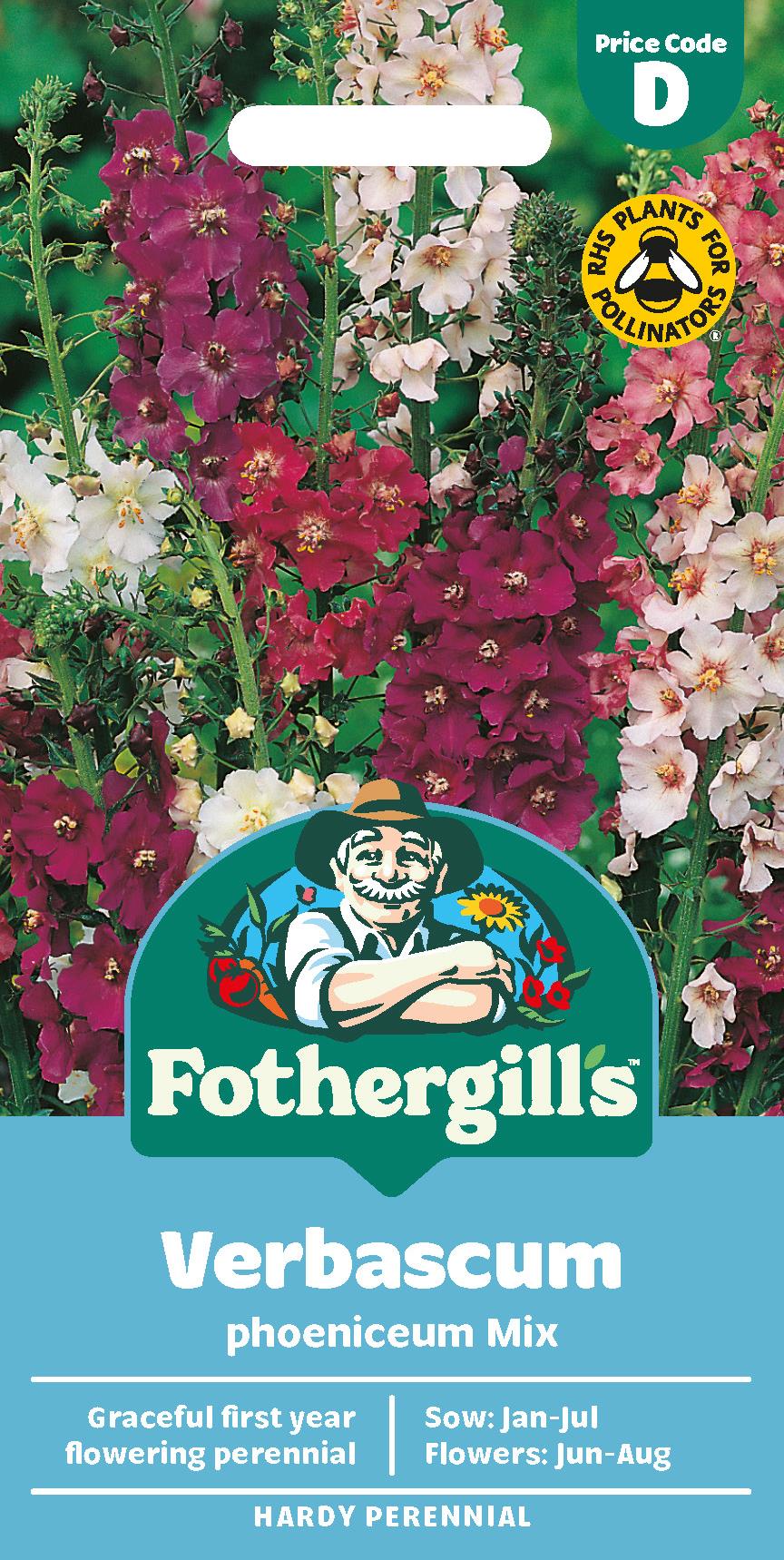 Fothergills Verbascum Phoeniceum Mix Seeds