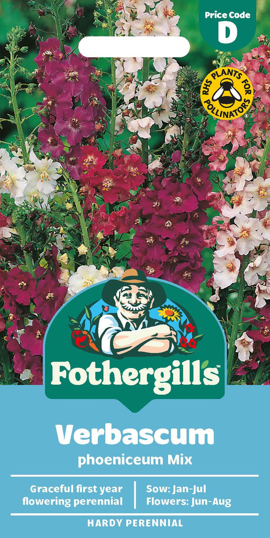 Fothergills Verbascum Phoeniceum Mix Seeds