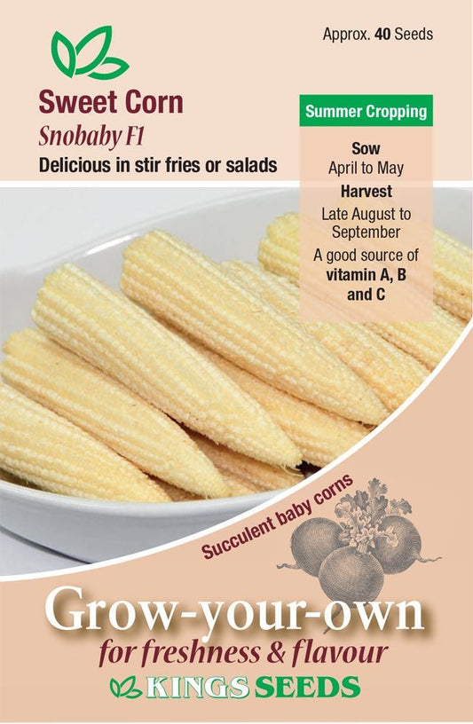 Kings Seeds  Sweet Corn Snobaby F1 Seeds