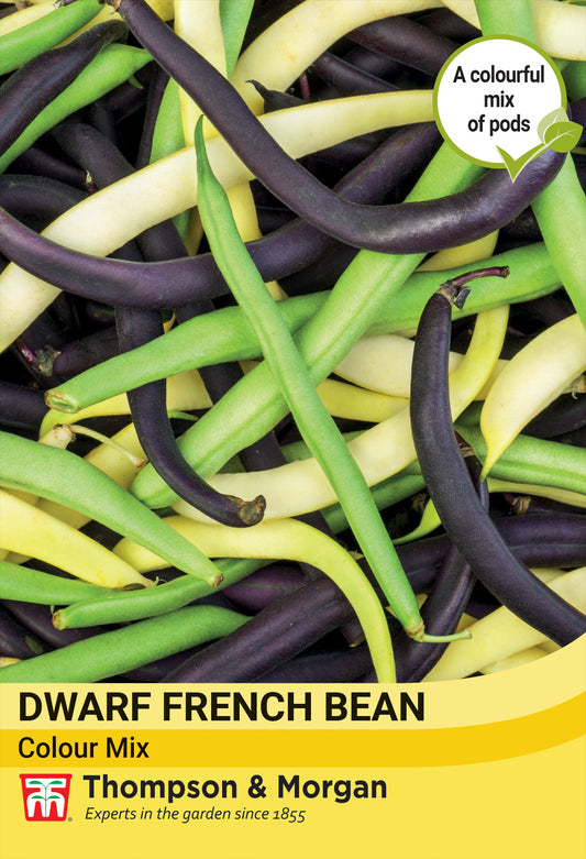 Thompson & Morgan  Vegetable Dwarf French Bean Colour Mix - 120 Seeds