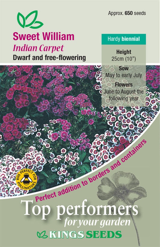 Kings Seeds Sweet William Indian Carpet 650 Seeds
