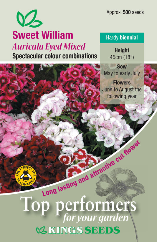 Kings Seeds Sweet William Auricula Eyed Mixed 500 Seeds