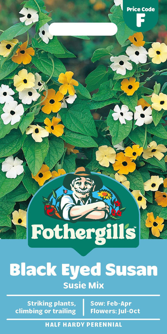 Fothergills Black Eyed Susan Susie Mix Seeds