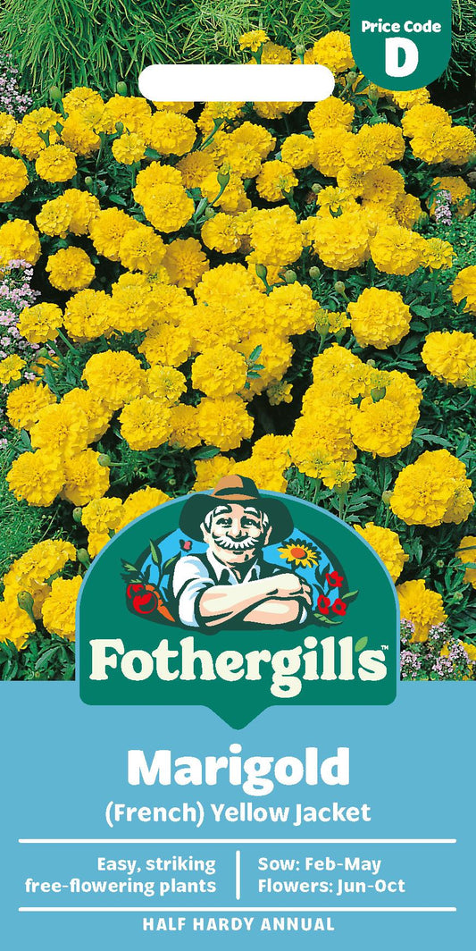 Fothergills French Marigold Yellow Jacket Seeds