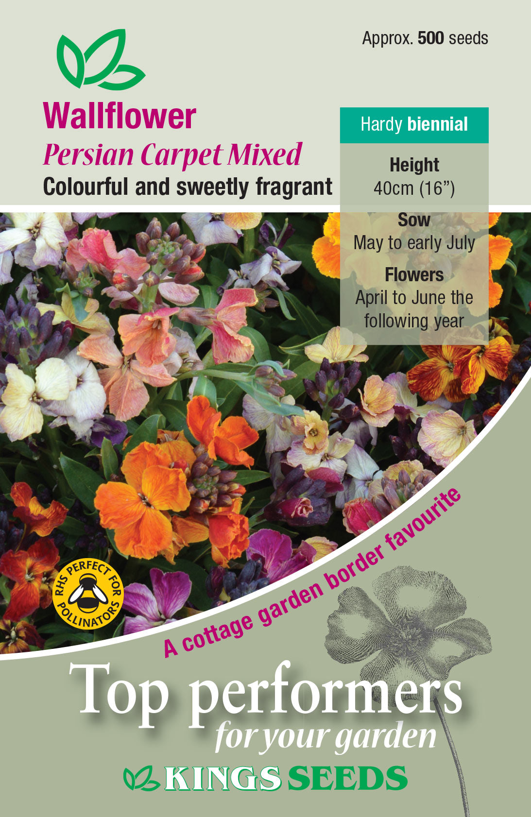 Kings Seeds Wallflower Persian Carpet Mixed 500 Seeds