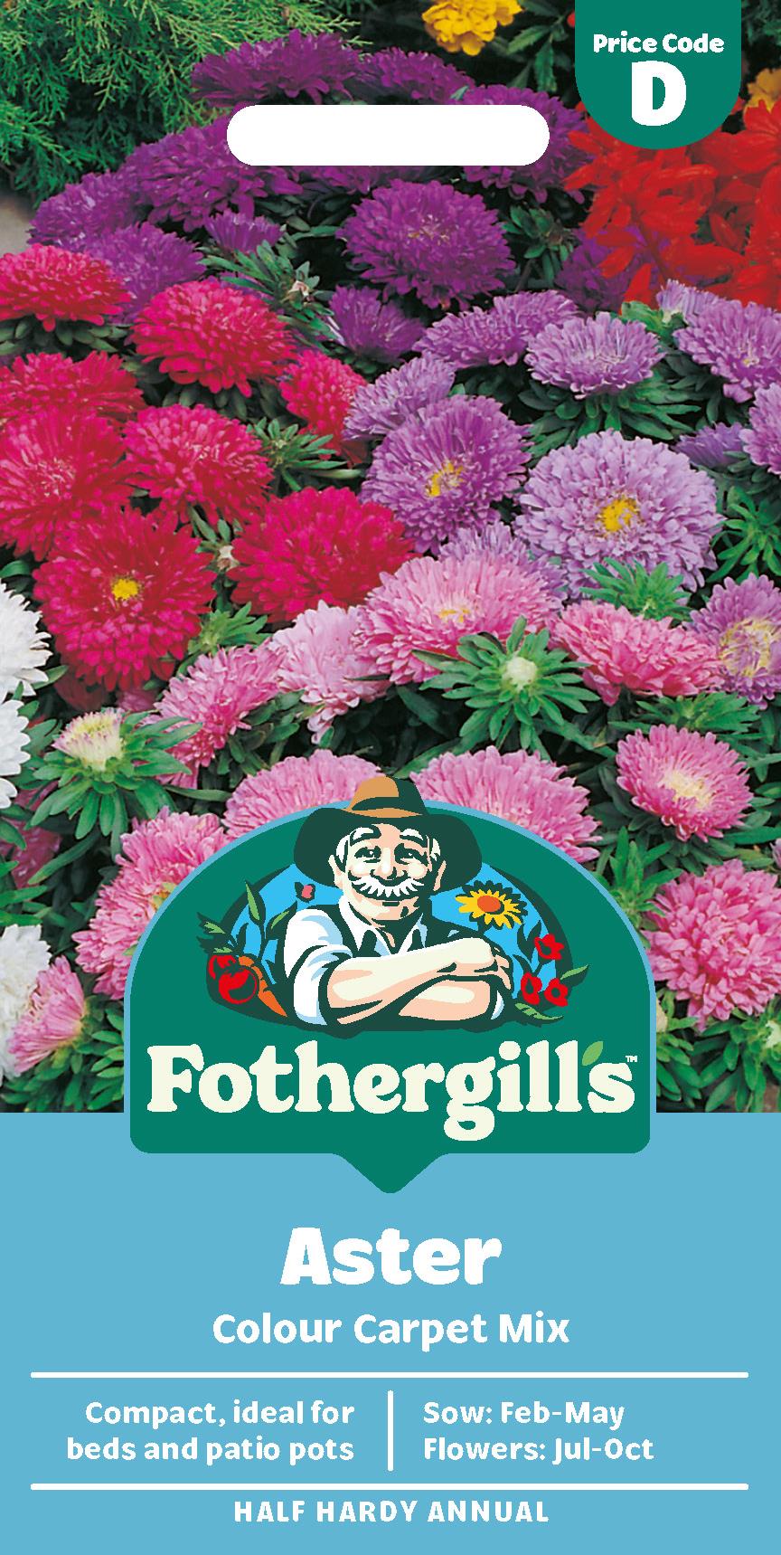 Fothergills Aster Colour Carpet Mix Seeds