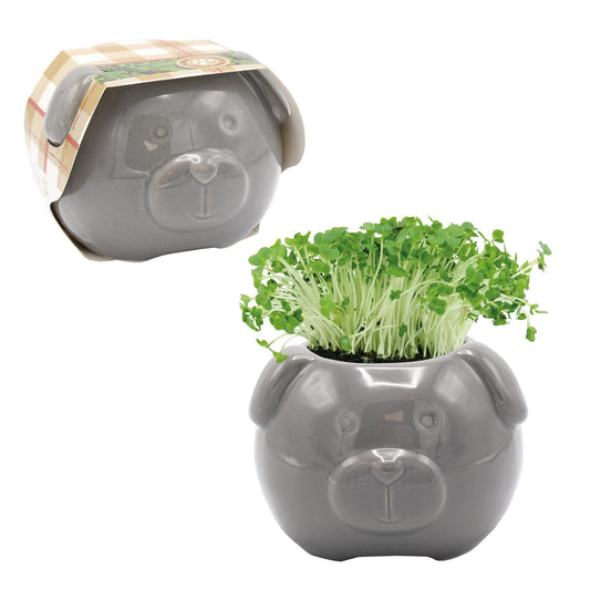 Cress Head Dog Novelty Planter Grow Kit – Jade | Bees Seeds