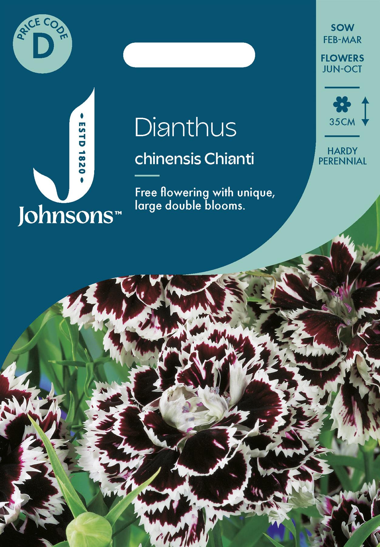 Johnsons - Dianthus Chinensis Chianti - 200 Seeds