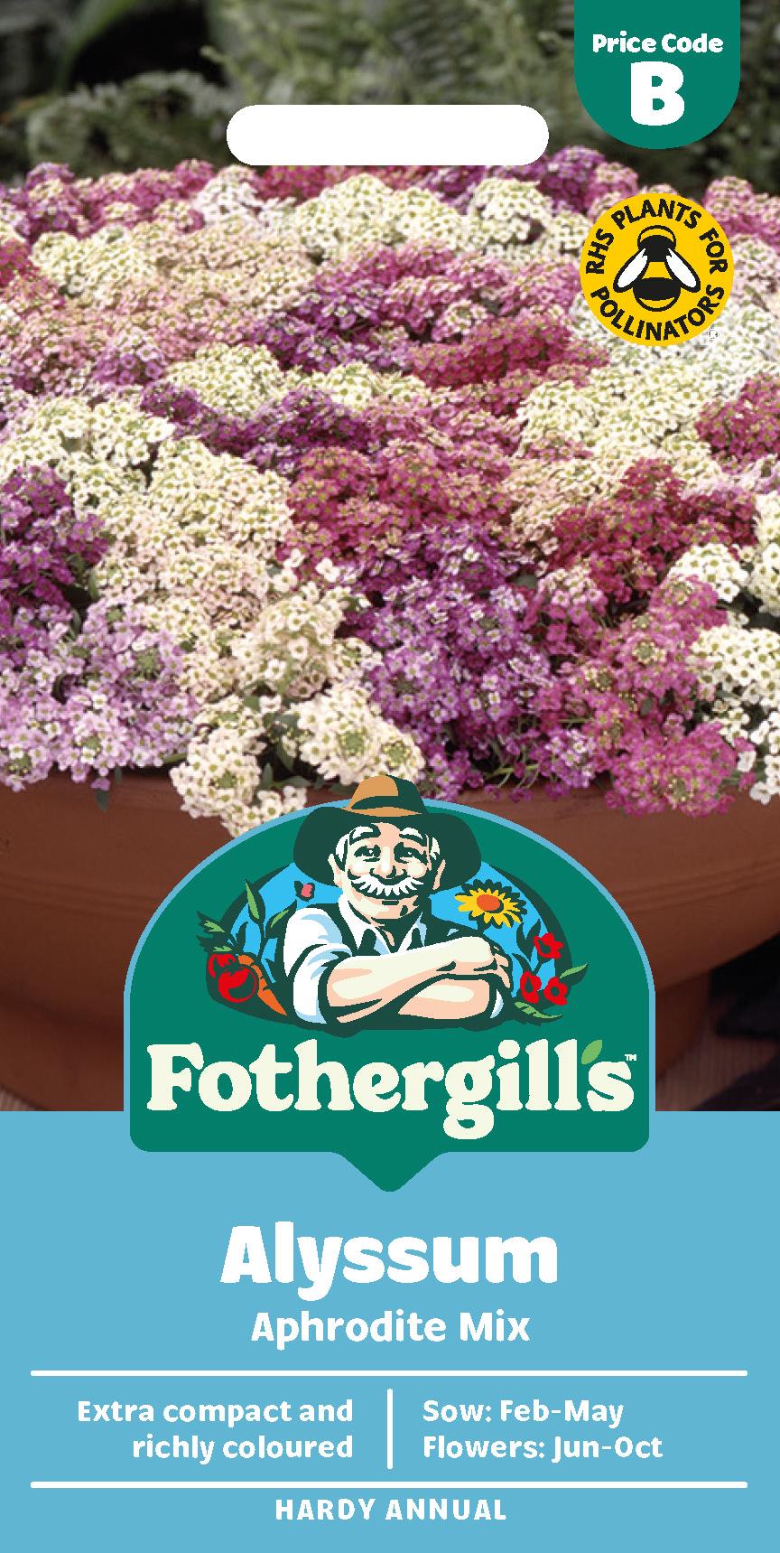 Fothergills Alyssum Aphrodite Mix Seeds