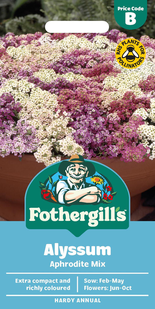 Fothergills Alyssum Aphrodite Mix Seeds