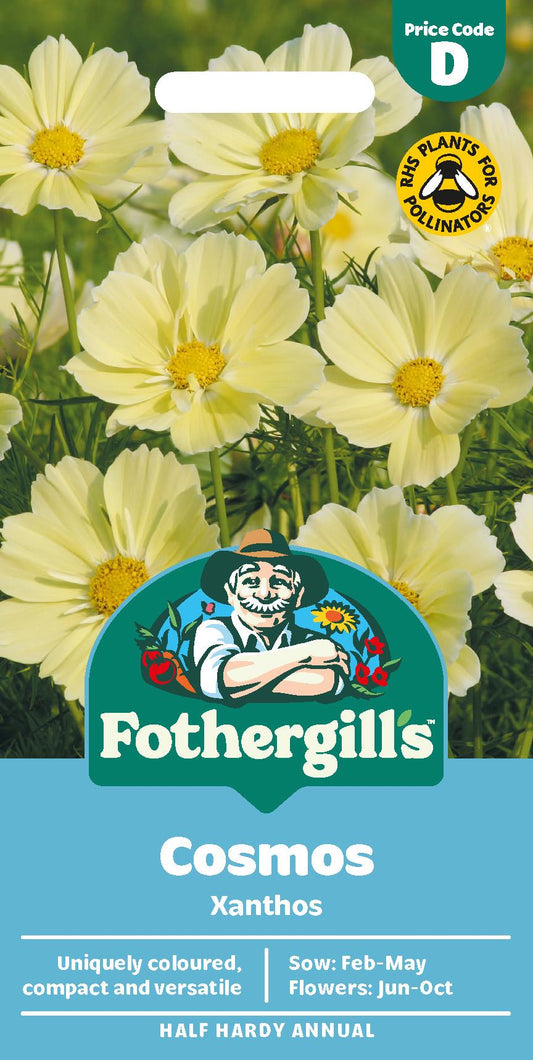 Fothergills Cosmos Xanthos Seeds