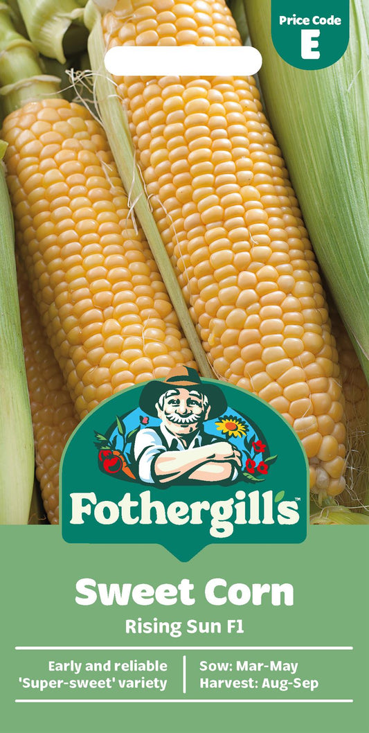 Fothergills Sweet Corn Rising Sun F1 Seeds