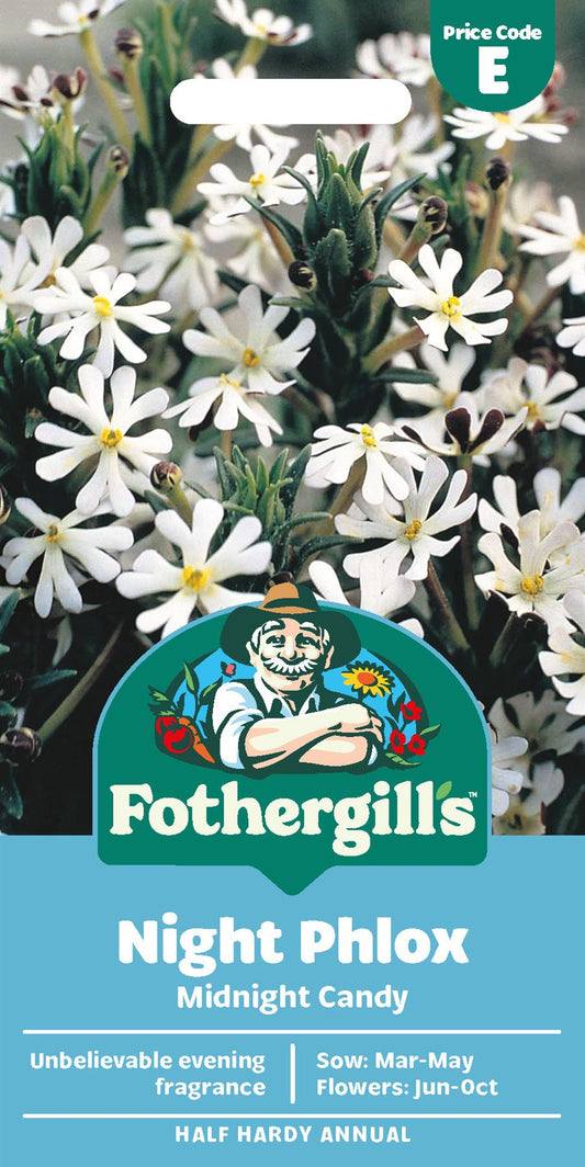 Fothergills Night Phlox Midnight Candy Seeds