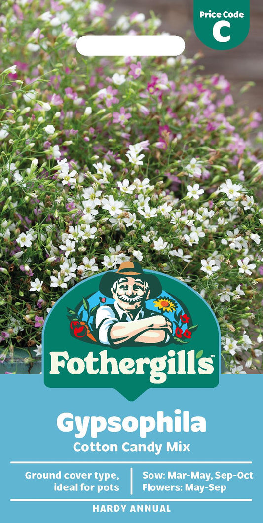 Fothergills Gypsophila Cotton Candy Mix Seeds