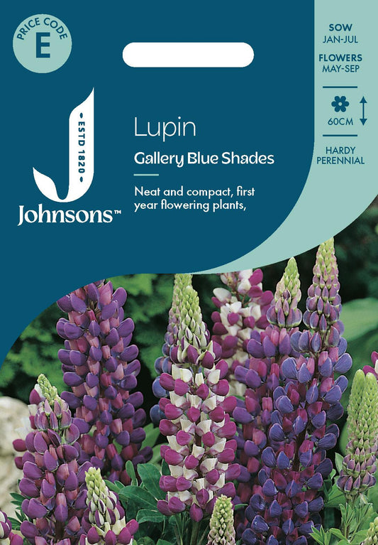 Johnsons - Lupin Gallery Blue Shades - 20 Seeds