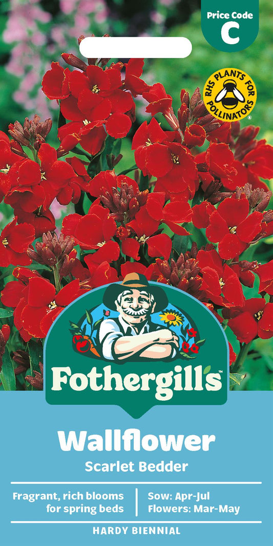 Fothergills Wallflower Scarlet Bedder Seeds