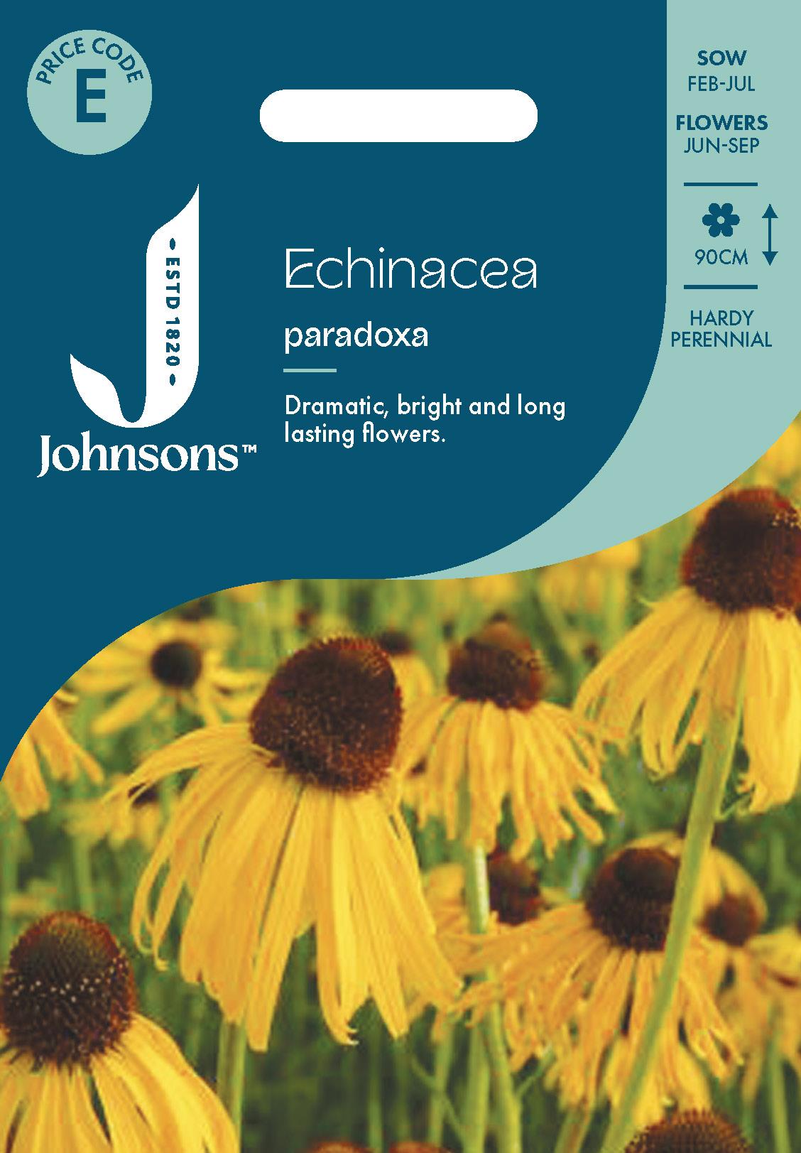 Johnsons - Echinacea Paradoxa - 20 Seeds