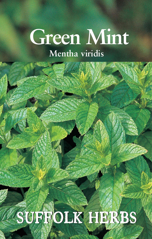 Suffolk Herbs Green Mint 1000 Seeds