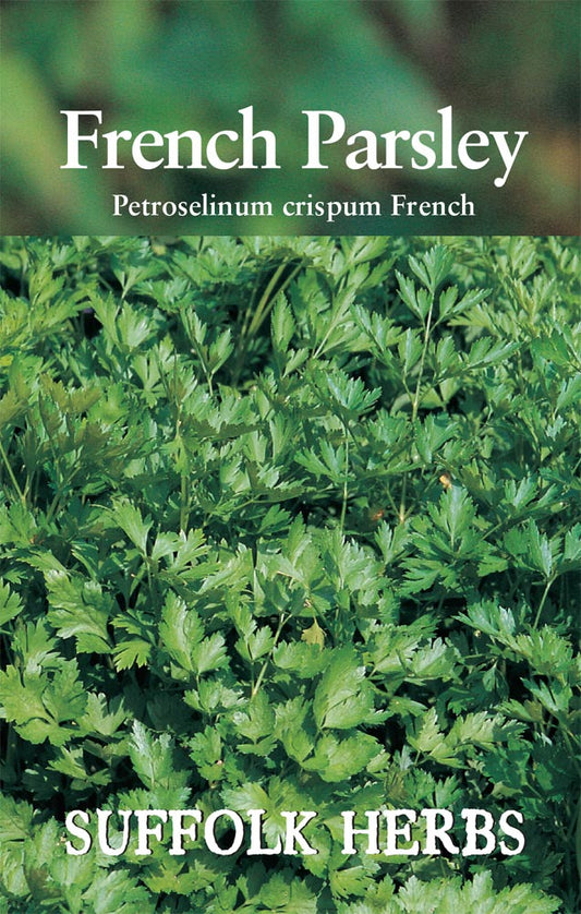 Suffolk Herbs French Parsley 450 Seeds