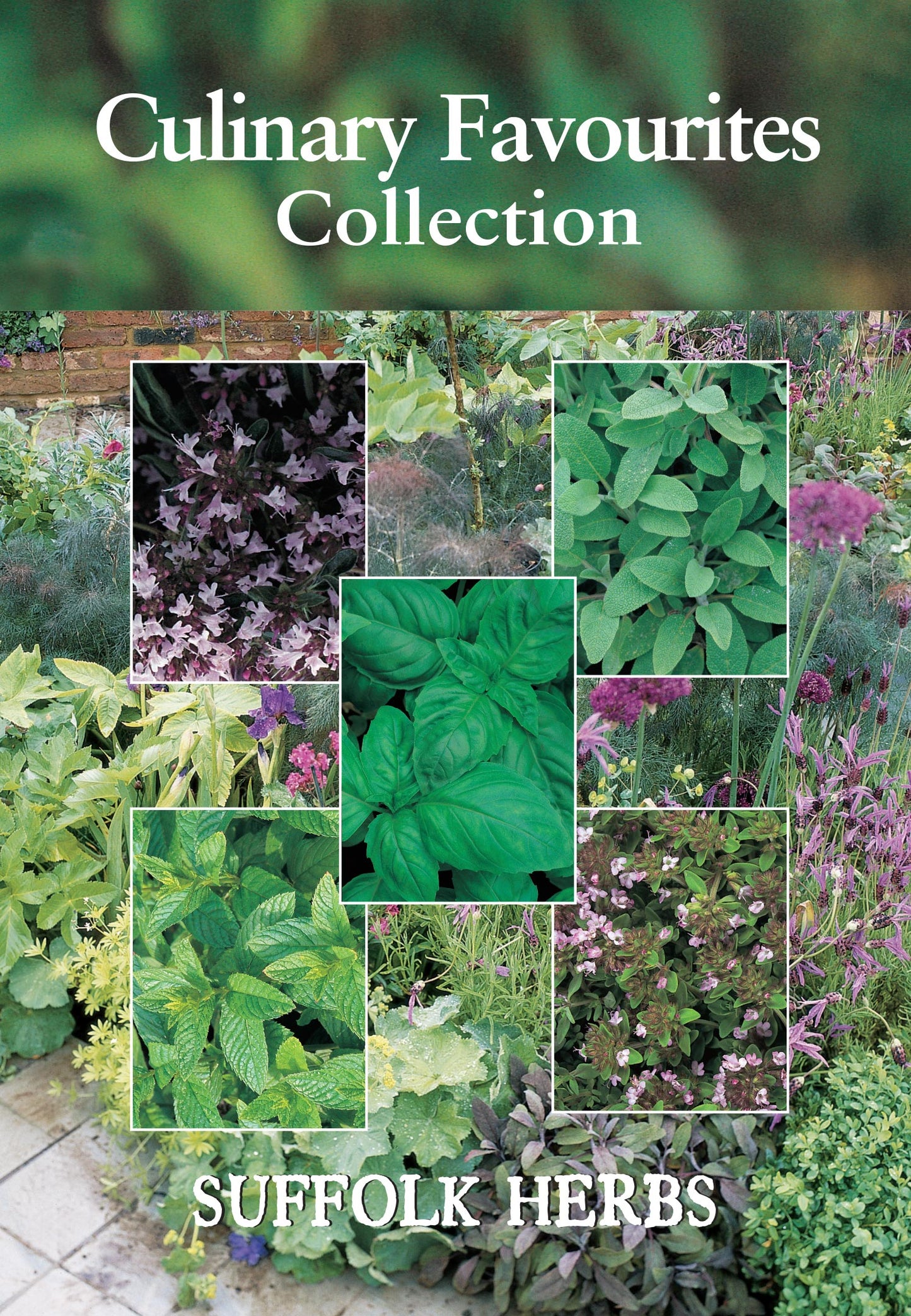 Suffolk Herbs Culinary Favourites Collection Pack Seed