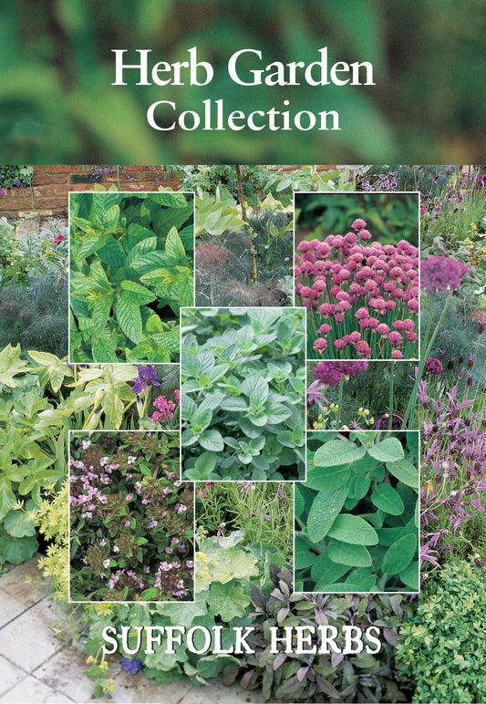 Suffolk Herbs Herb Garden Collection Seed