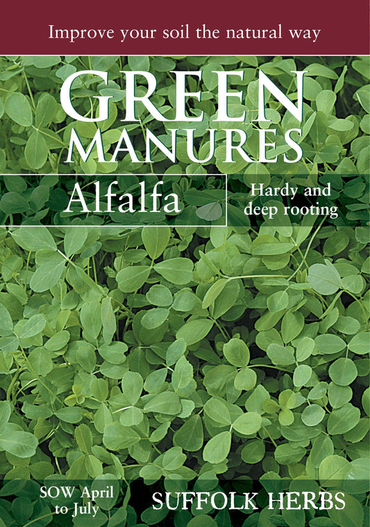 Kings Seeds Green Manure Alfalfa 80g Seeds