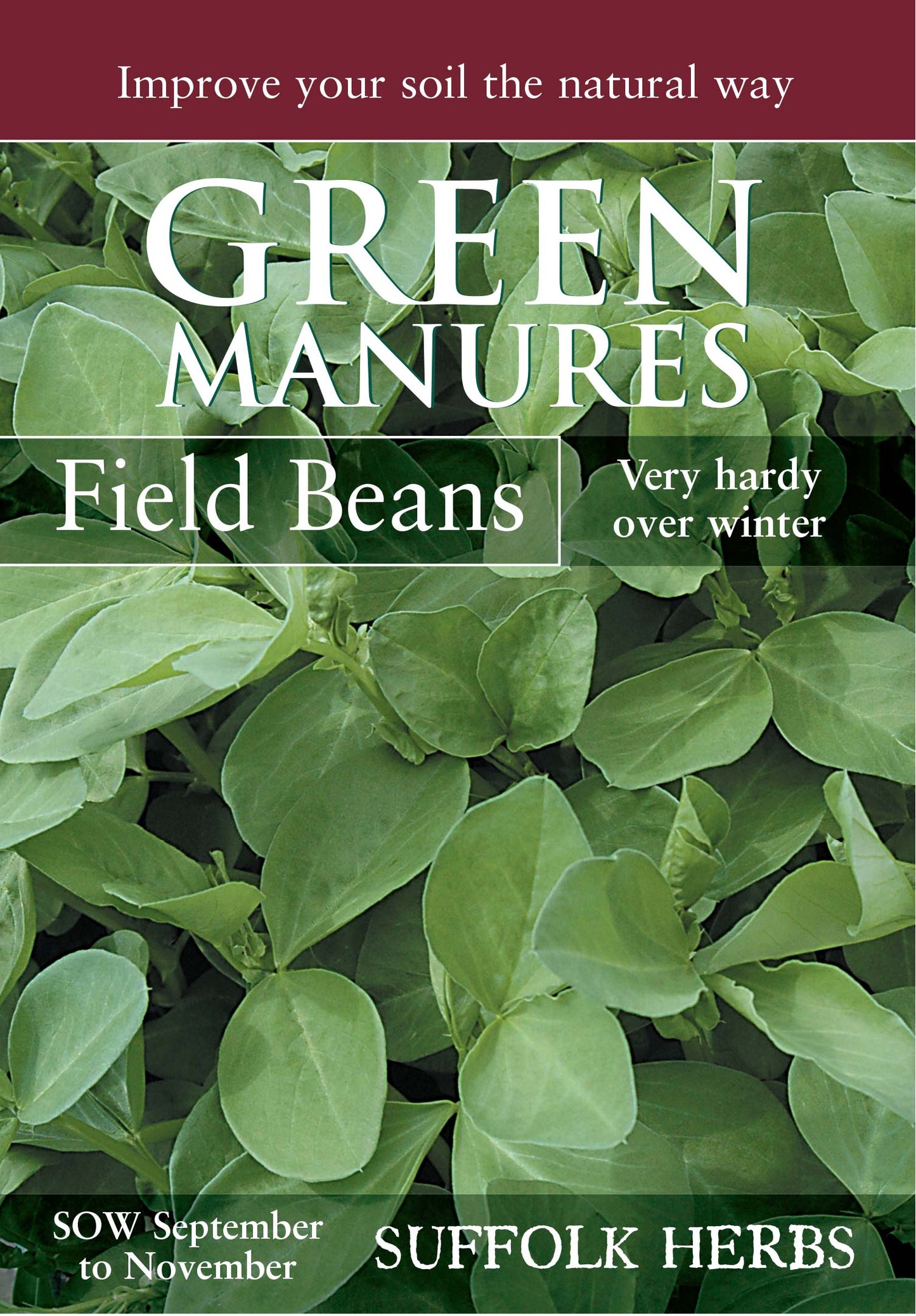 Kings Seeds Green Manure Field Beans 150g Seeds