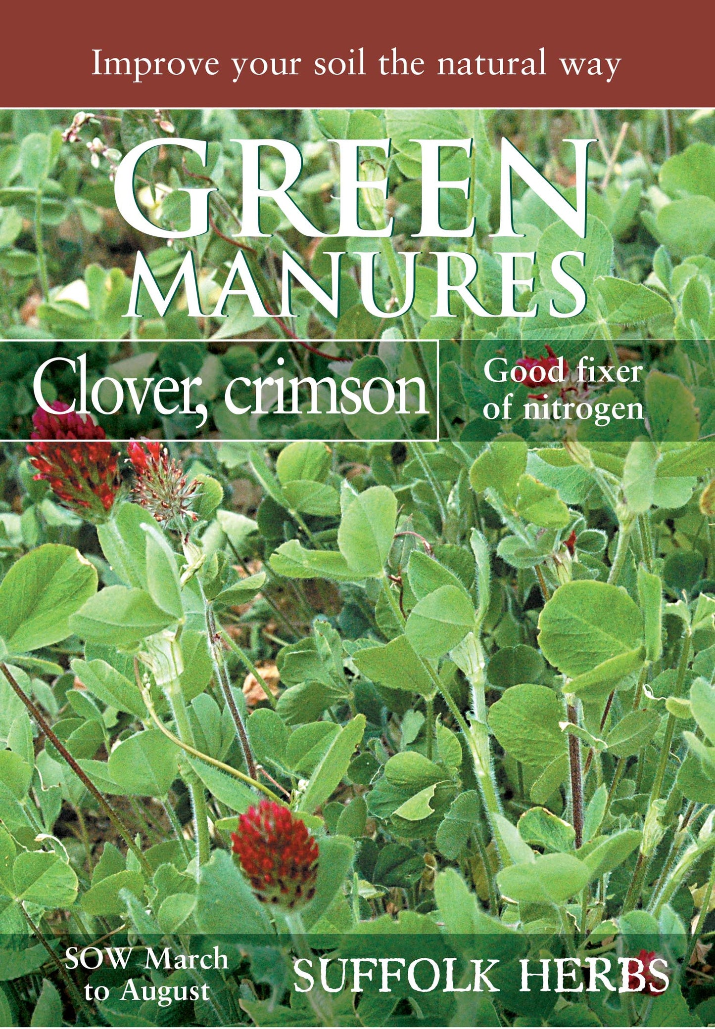 Kings Seeds Green Manure Crimson Clover 90g Seeds