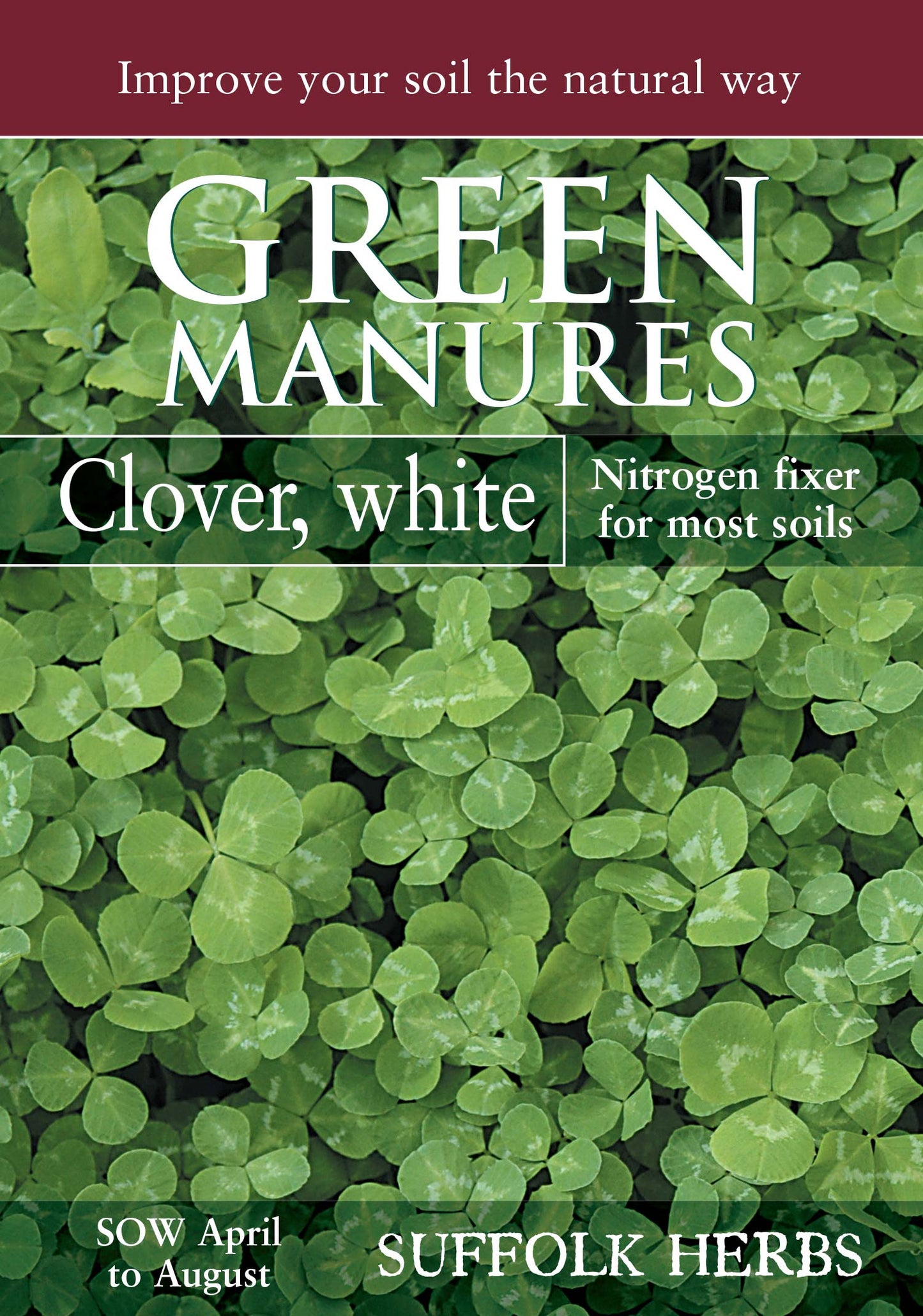 Kings Seeds Green Manure White Clover 90g Seeds