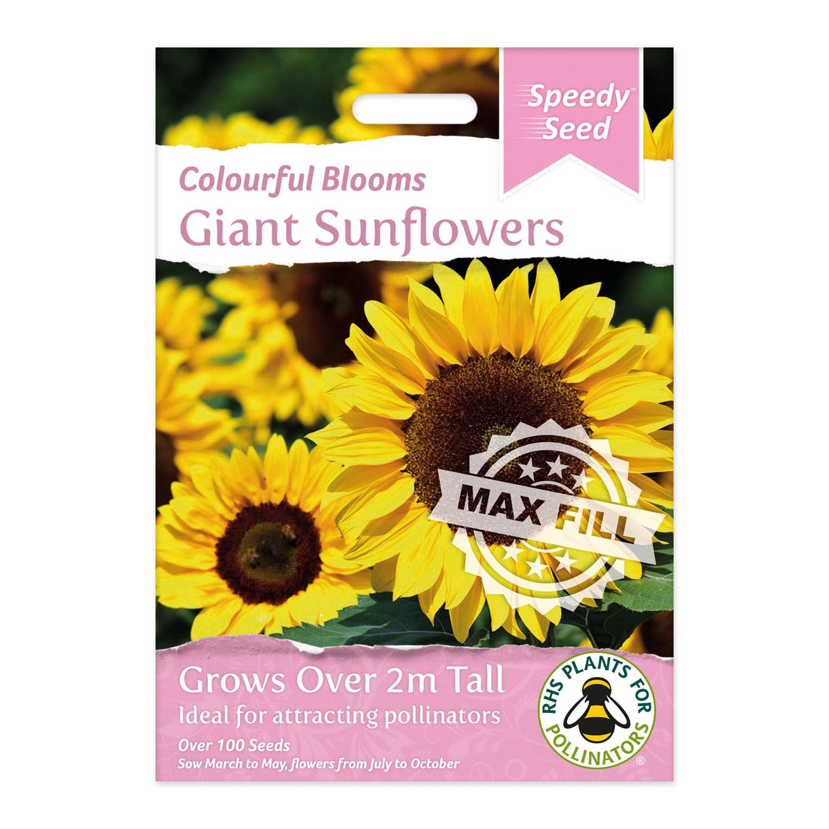 Speedy Seeds Flowers Giant Sunflower RHS Plants for Pollinators