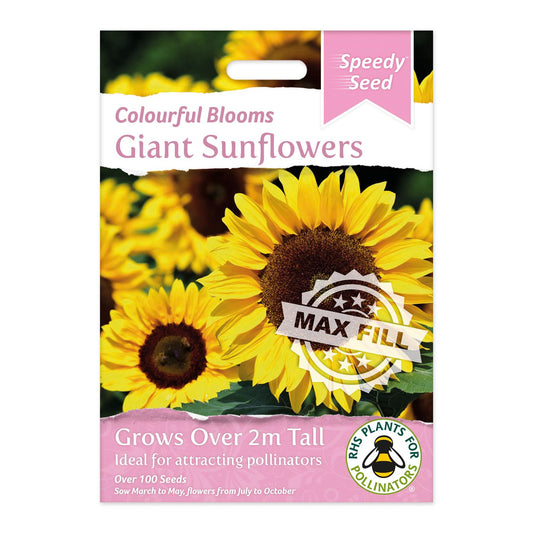 Speedy Seeds Flowers Giant Sunflower RHS Plants for Pollinators
