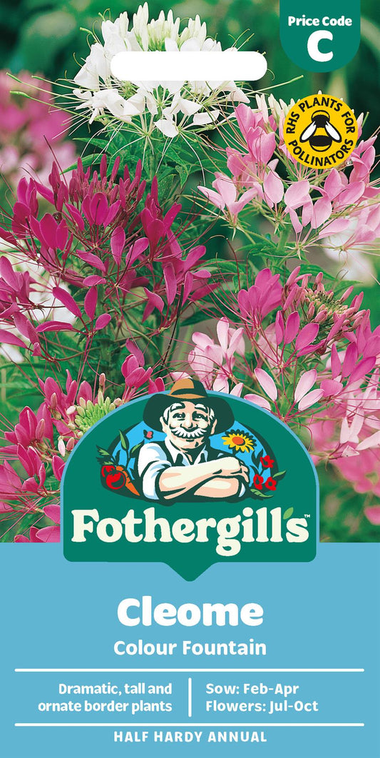 Fothergills Cleome Colour Fountain Seeds