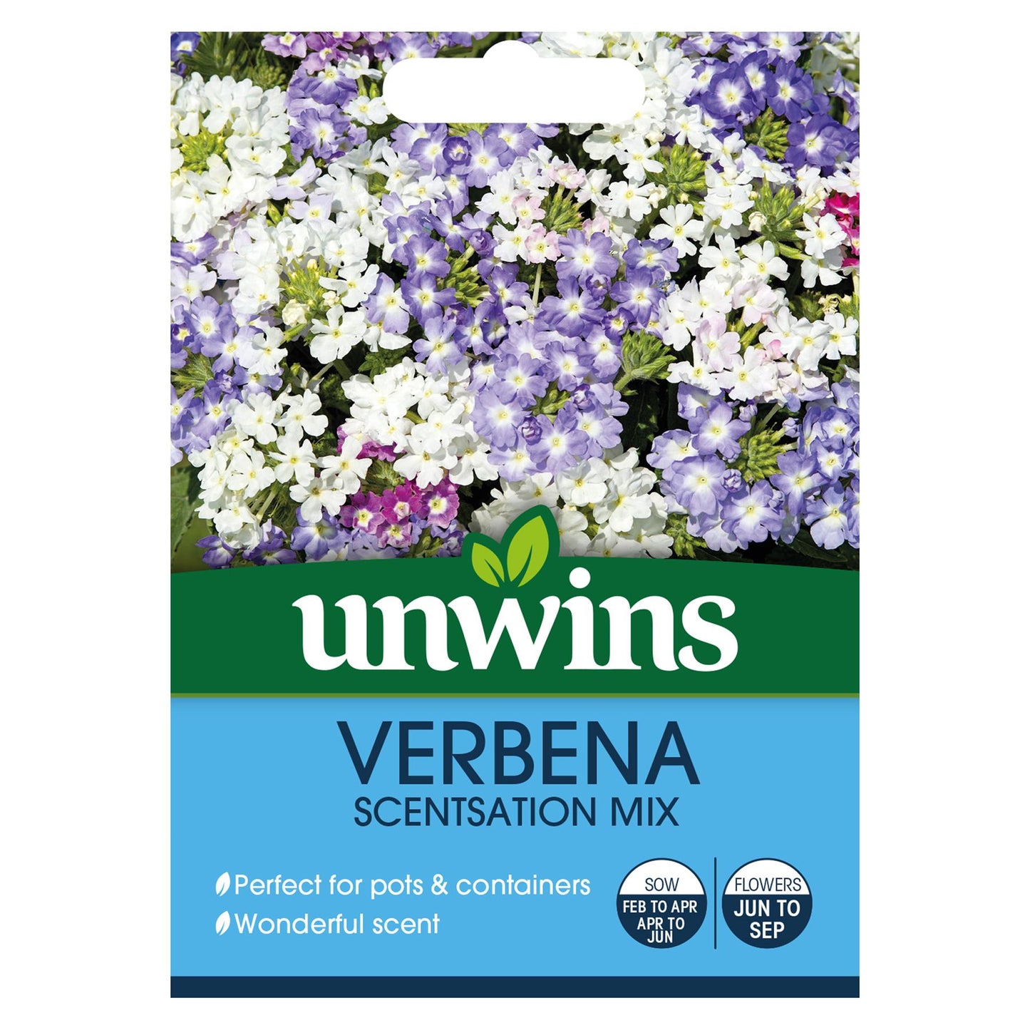 Unwins Flower Verbena Scentsation Mix - 45 Seeds