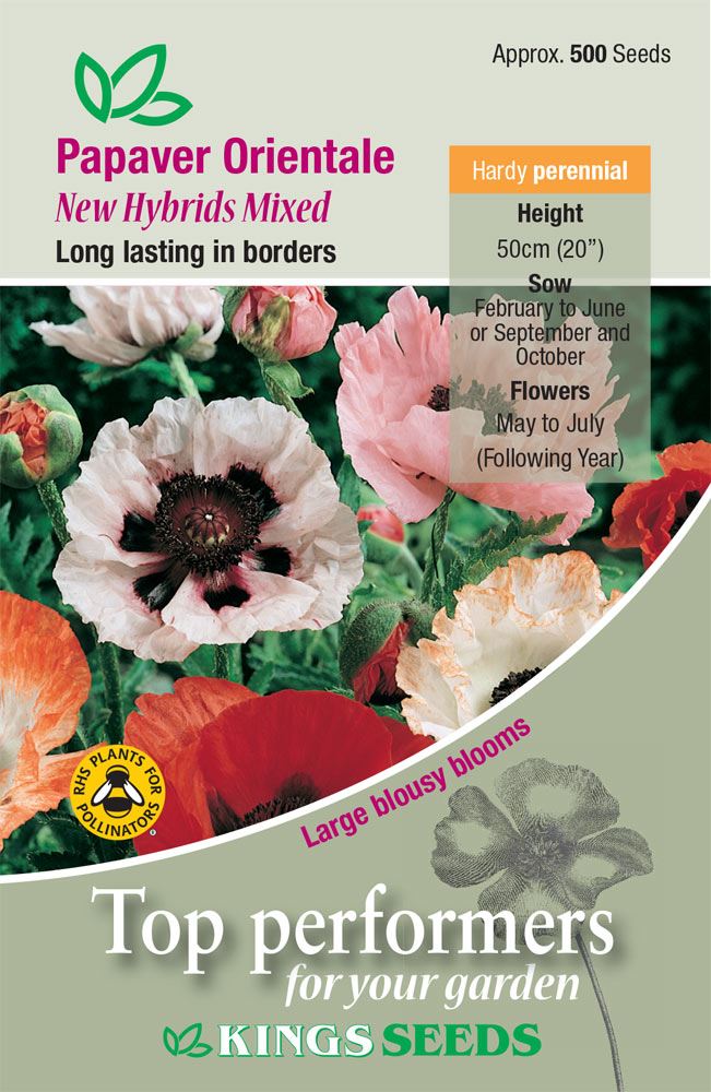 Kings Seeds  Poppy New Hybrids Mixed Seeds