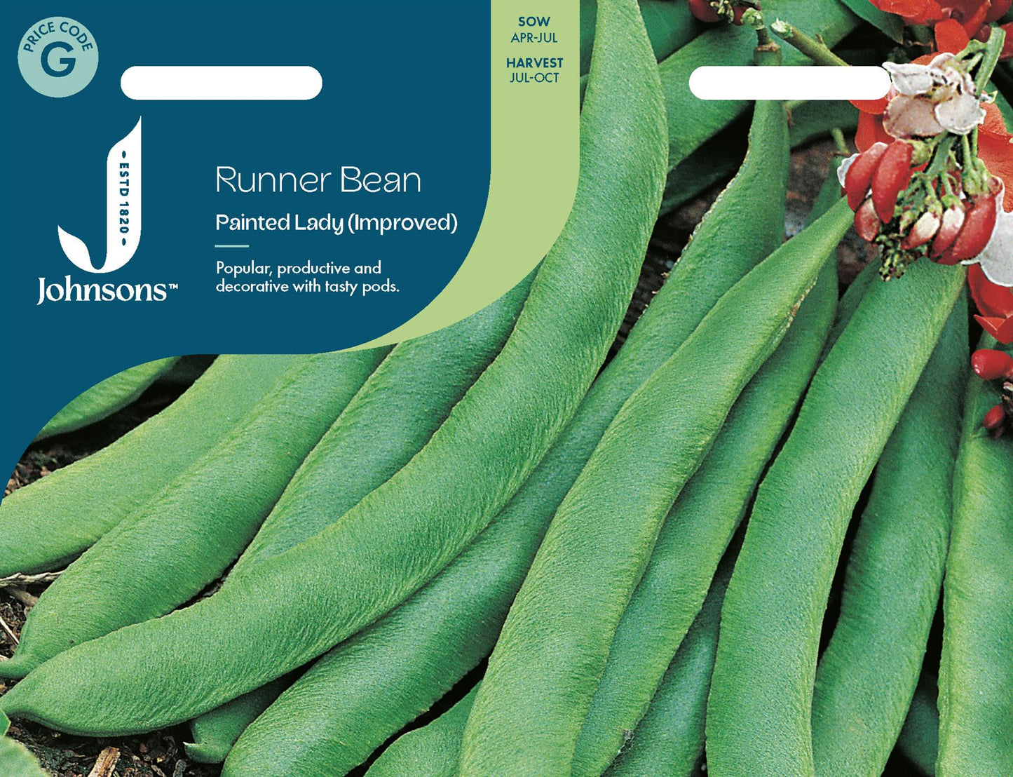 Johnsons - Runner Bean Painted Lady (improved) - 40 Seeds