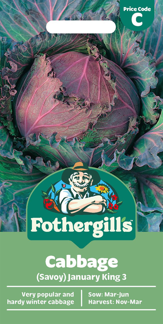 Fothergills Cabbage (Savoy) January King 3 Seeds