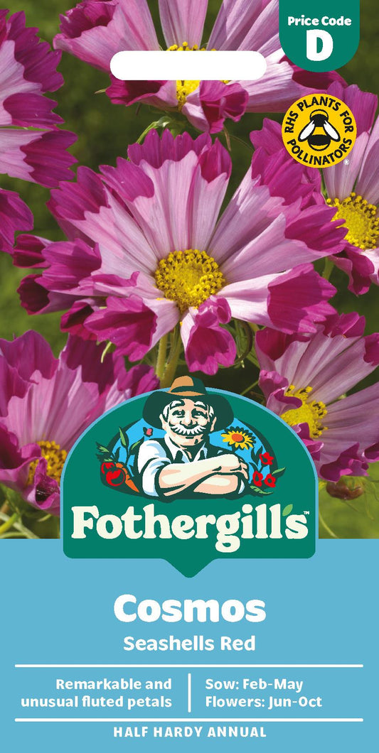 Fothergills Cosmos Seashells Red Seeds