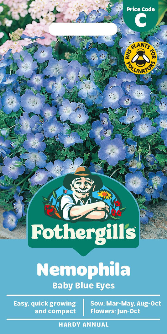 Fothergills Nemophila Baby Blue Eyes Seeds