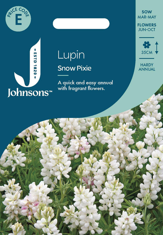 Johnsons - Lupin Snow Pixie - 30 Seeds