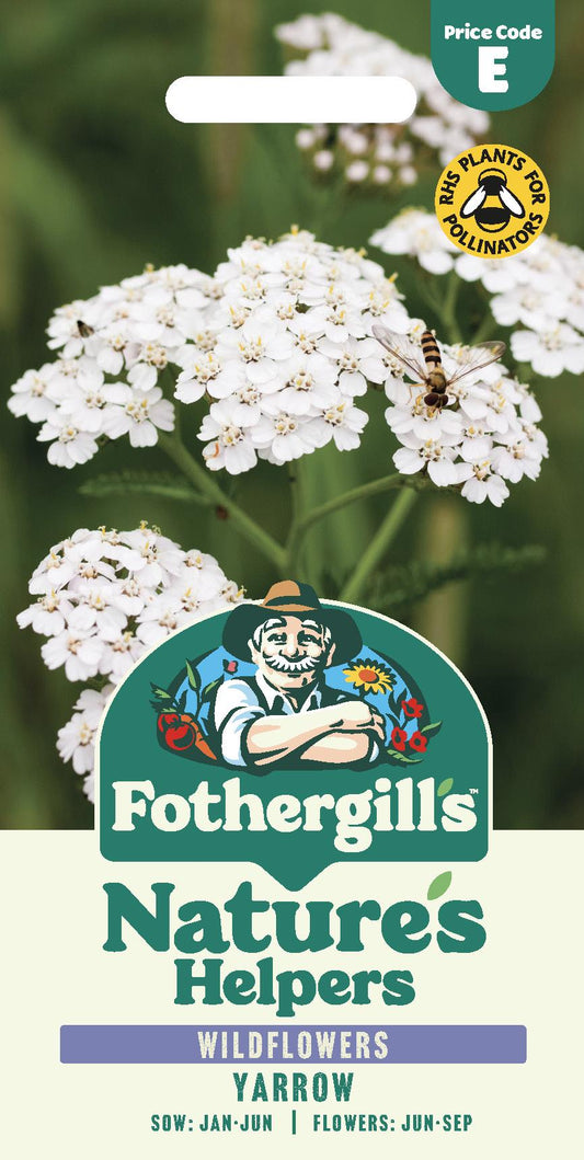 Fothergills Wild flowers Nature Haven Yarrow Seeds