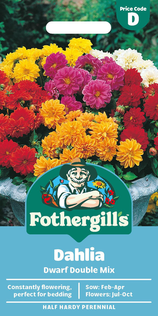 Fothergills Dahlia Dwarf Double Mix Seeds