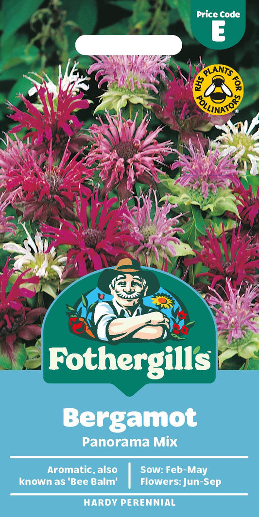 Fothergills Bergamot Panorama Mix Seeds