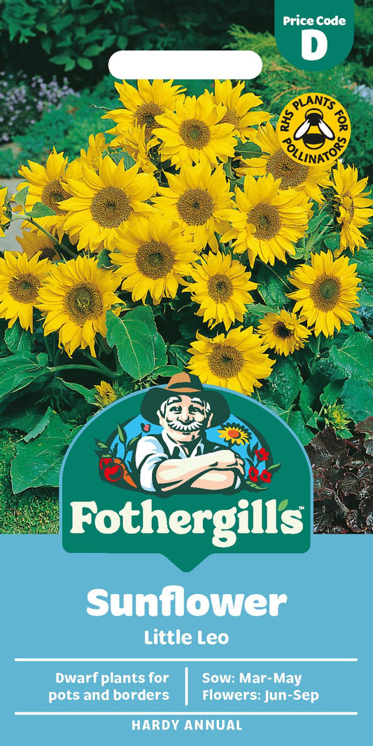 Fothergills Sunflower Little Leo Seeds