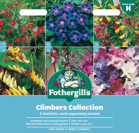 Fothergills Climbers Collection Seeds