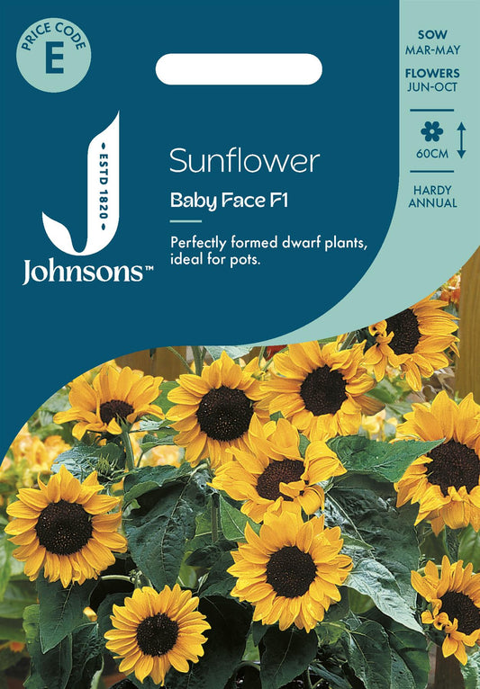 Johnsons - Sunflower Baby Face F1 - 20 Seeds