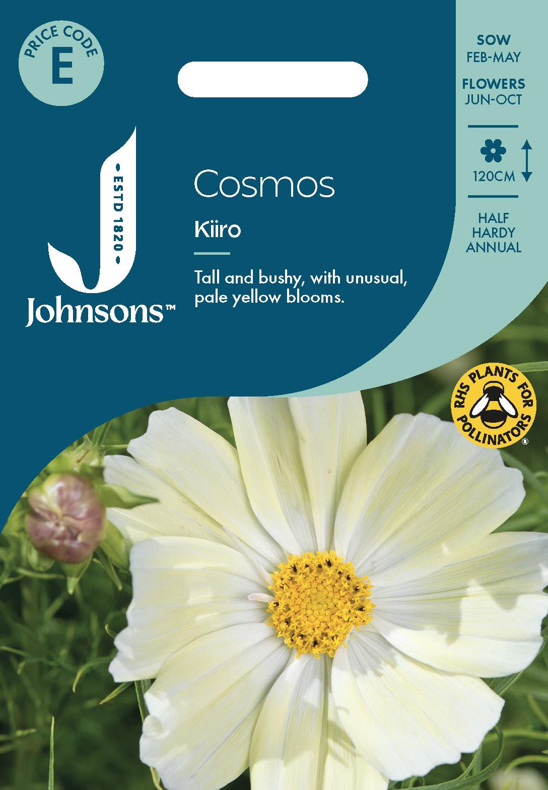 Johnsons - Cosmos Kiiro - 75 Seeds