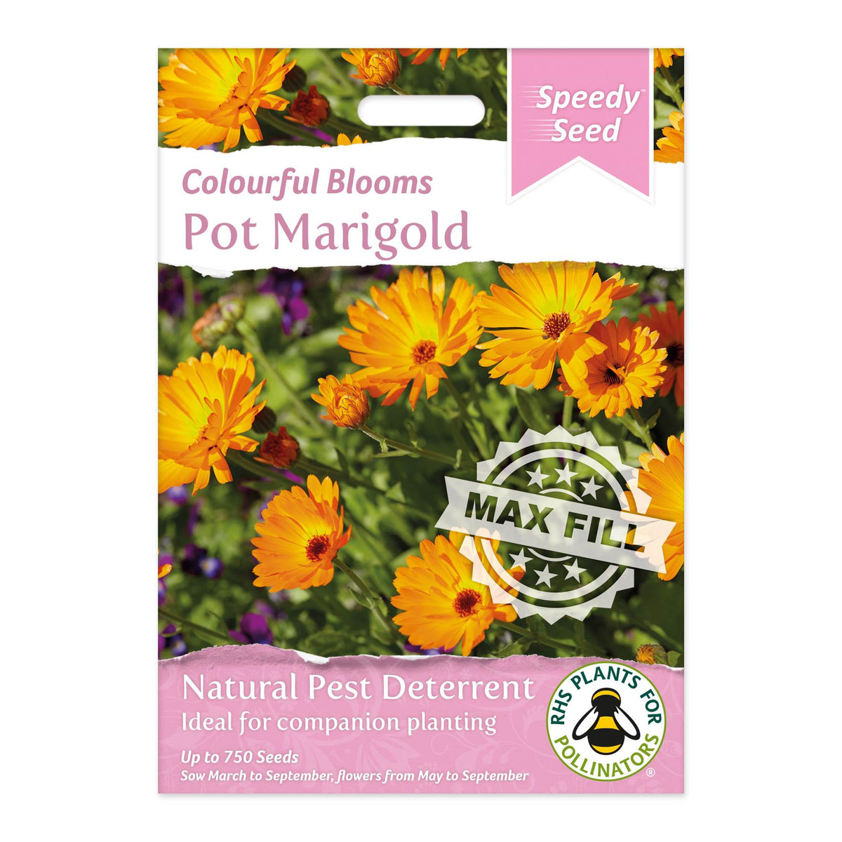 Speedy Seeds Flowers Pot Marigold RHS Plants for Pollinators